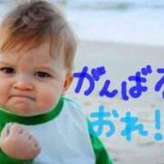 ★1番大好きな人★ 次回の出勤📅 Cinderella Collection(シンデレラコレクション)