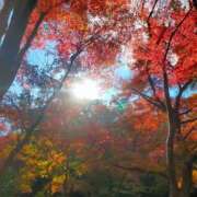 ヒメ日記 2025/11/23 08:39 投稿 綾瀬おと 恋する奥さん 西中島店