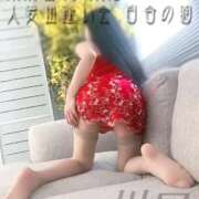 ヒメ日記 2025/09/17 08:14 投稿 川口(かわぐち) 人妻出逢い会 百合の園 山の手本店