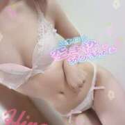 ヒメ日記 2025/11/25 19:25 投稿 ひな abc＋