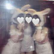 ヒメ日記 2025/12/05 17:47 投稿 みすず【堂山店】 VIVID CREW Pink Party Paradise