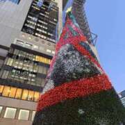 ヒメ日記 2025/12/08 19:06 投稿 藤原せな 皇帝別館（こうていべっかん）