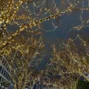 ヒメ日記 2025/12/26 14:36 投稿 藤原せな 皇帝別館（こうていべっかん）