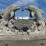 ヒメ日記 2025/07/20 08:17 投稿 藤咲【ふじさき】 丸妻 西船橋店