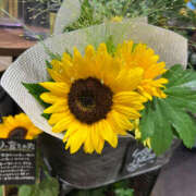 ヒメ日記 2025/07/23 21:18 投稿 和(なぎ) エクレア上野御徒町　天然貴姉乳舐手淫店