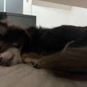 ヒメ日記 2026/02/28 22:51 投稿 和(なぎ) エクレア上野御徒町　天然貴姉乳舐手淫店