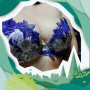 ヒメ日記 2025/11/07 15:16 投稿 りく 熟女家 京橋店