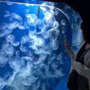 ヒメ日記 2025/07/13 12:52 投稿 りん 錦糸町ちゃんこ