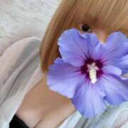 ヒメ日記 2025/07/19 19:22 投稿 りん 錦糸町ちゃんこ