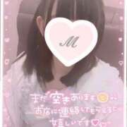 ヒメ日記 2025/07/29 09:29 投稿 ましろ 櫻女学院