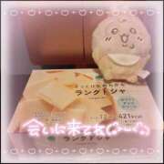 ヒメ日記 2025/10/09 12:41 投稿 ましろ 櫻女学院