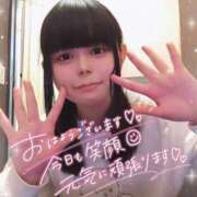 ヒメ日記 2025/12/28 11:44 投稿 ましろ 櫻女学院