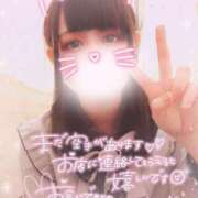 ヒメ日記 2026/02/12 13:22 投稿 ましろ 櫻女学院