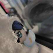 ヒメ日記 2026/02/13 17:51 投稿 ましろ 櫻女学院