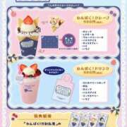 ヒメ日記 2026/02/16 16:38 投稿 ましろ 櫻女学院