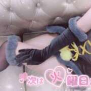 ヒメ日記 2026/03/02 11:20 投稿 ましろ 櫻女学院