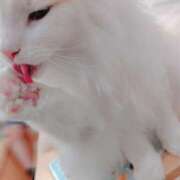 ヒメ日記 2026/03/10 13:24 投稿 ましろ 櫻女学院