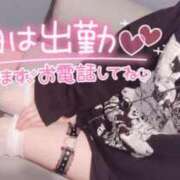 ヒメ日記 2026/04/26 12:16 投稿 ましろ 櫻女学院