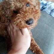 ヒメ日記 2025/08/30 11:03 投稿 五十嵐 鶯谷デッドボール