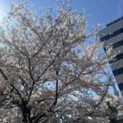 ヒメ日記 2026/04/03 22:38 投稿 エミリ 完全技術系性感マッサージ レジェンド