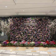 ヒメ日記 2025/08/29 17:17 投稿 あんり ANGEL KISS 池袋