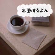 ヒメ日記 2025/10/18 13:41 投稿 あんり ANGEL KISS 池袋