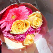 ヒメ日記 2025/10/29 15:50 投稿 あんり ANGEL KISS 池袋