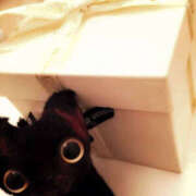 ヒメ日記 2025/10/31 17:17 投稿 あんり ANGEL KISS 池袋