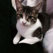 ヒメ日記 2025/11/08 17:08 投稿 あんり ANGEL KISS 池袋