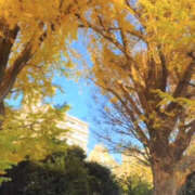 あんり 出勤するよん(｡･ω･｡)ﾉ♡ ANGEL KISS 池袋