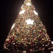 ヒメ日記 2025/12/24 17:52 投稿 あんり ANGEL KISS 池袋