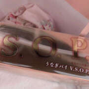 ヒメ日記 2026/01/10 14:10 投稿 あんり ANGEL KISS 池袋