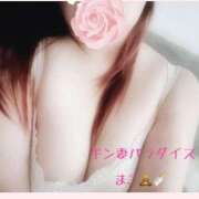 ヒメ日記 2025/10/18 14:45 投稿 まこ ギン妻パラダイス 和歌山店