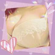 ヒメ日記 2025/10/19 02:05 投稿 まこ ギン妻パラダイス 和歌山店