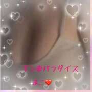 ヒメ日記 2025/11/13 14:45 投稿 まこ ギン妻パラダイス 和歌山店