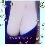 ヒメ日記 2025/11/14 11:58 投稿 まこ ギン妻パラダイス 和歌山店