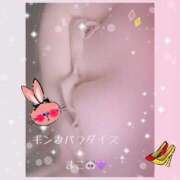 ヒメ日記 2025/11/19 09:29 投稿 まこ ギン妻パラダイス 和歌山店