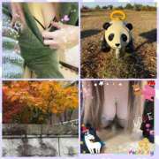 ヒメ日記 2025/11/26 22:28 投稿 まこ ギン妻パラダイス 和歌山店