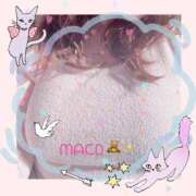 ヒメ日記 2025/11/29 02:08 投稿 まこ ギン妻パラダイス 和歌山店