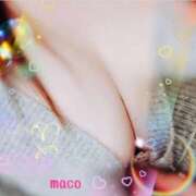 ヒメ日記 2025/12/10 14:45 投稿 まこ ギン妻パラダイス 和歌山店