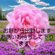 ヒメ日記 2025/08/14 10:06 投稿 麗未-れみ 熟女10000円デリヘル 川崎