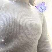 ヒメ日記 2025/10/23 10:34 投稿 るる 仙南 愛ランド（白石、柴田、岩沼、名取）