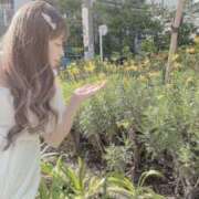 ヒメ日記 2025/07/08 10:21 投稿 白浜 鶯谷人妻城