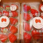 ヒメ日記 2026/02/05 21:55 投稿 白浜 鶯谷人妻城