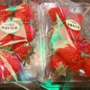 ヒメ日記 2026/03/08 19:23 投稿 白浜 鶯谷人妻城