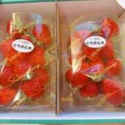 ヒメ日記 2026/03/17 01:24 投稿 白浜 鶯谷人妻城