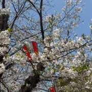 ヒメ日記 2026/03/29 20:54 投稿 白浜 鶯谷人妻城