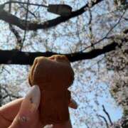 ヒメ日記 2026/03/29 21:48 投稿 白浜 鶯谷人妻城