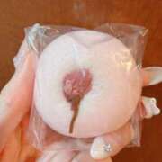 ヒメ日記 2026/03/31 21:55 投稿 白浜 鶯谷人妻城