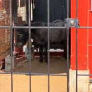 ヒメ日記 2026/04/01 22:17 投稿 白浜 鶯谷人妻城